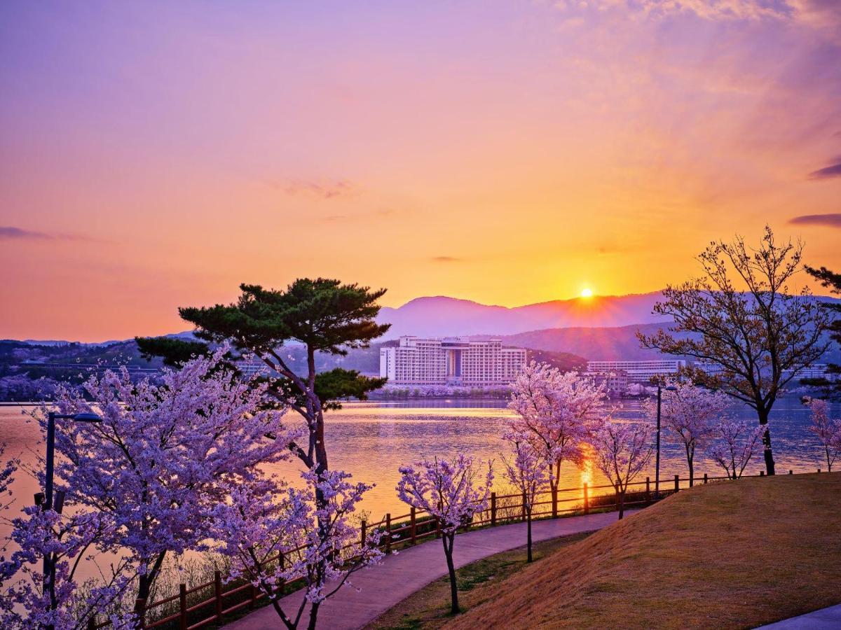 Sono Belle Gyeongju Hotel Buitenkant foto