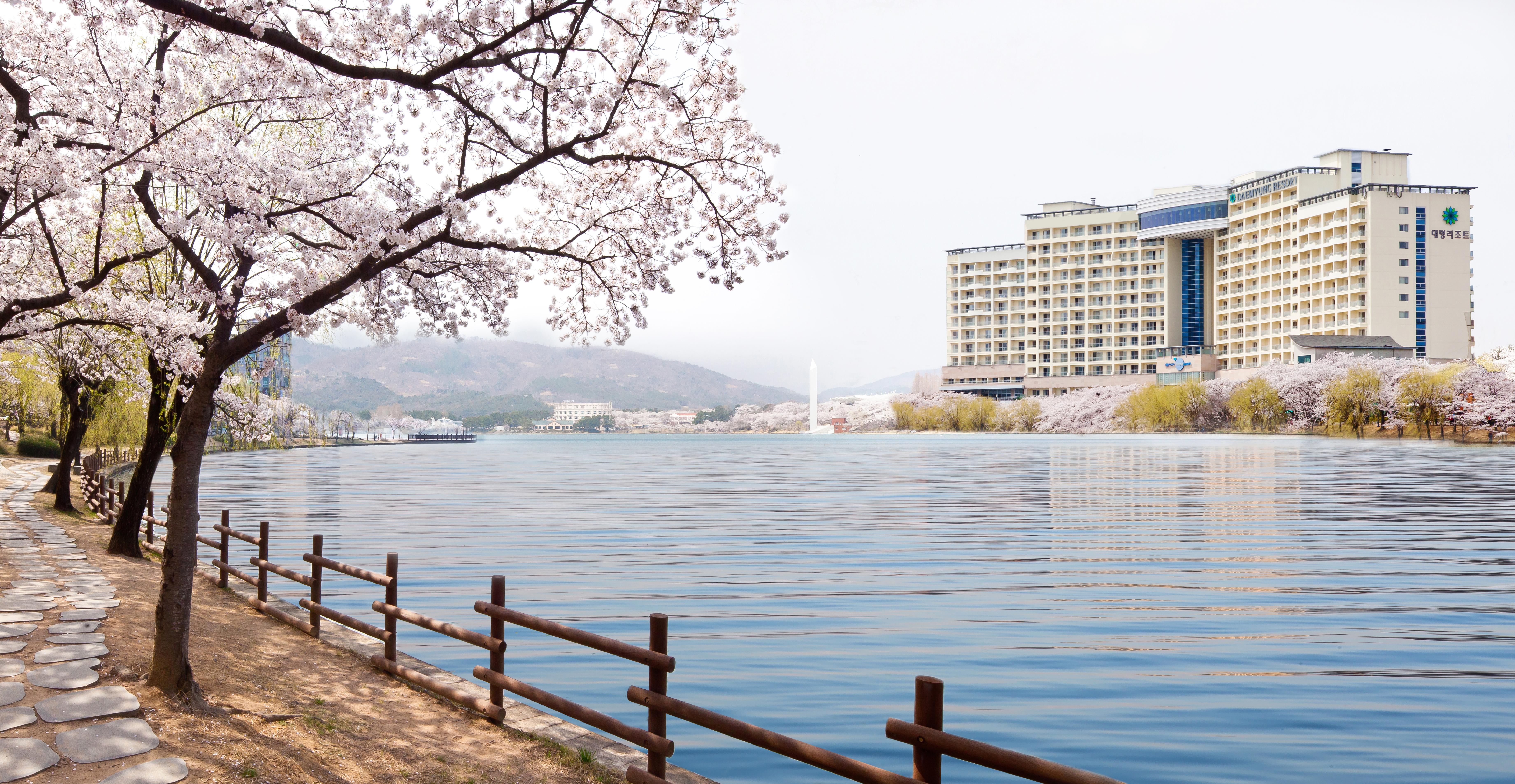 Sono Belle Gyeongju Hotel Buitenkant foto